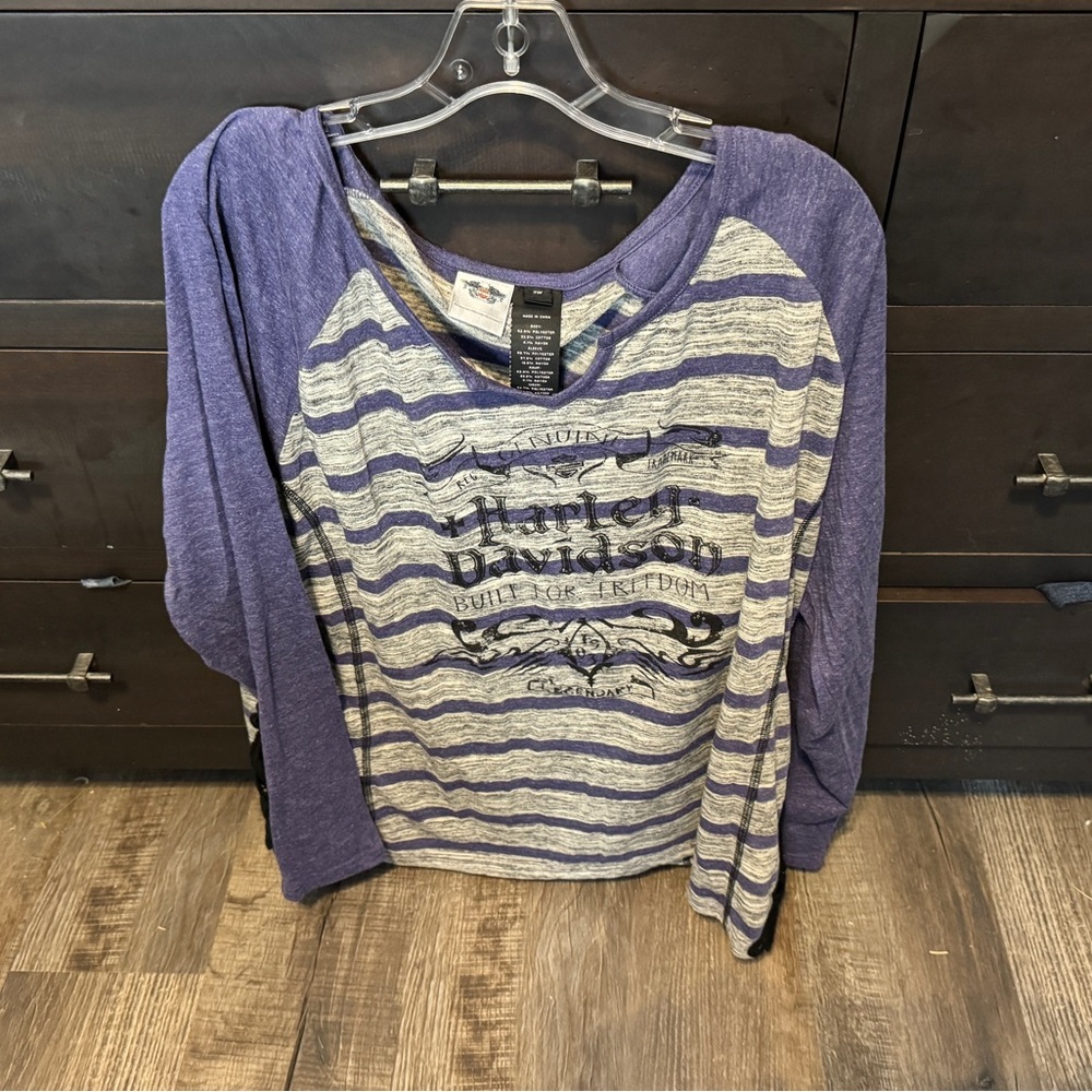 Harley Davidson Purple and Gray Striped Graphic Shirt